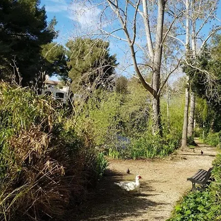T2 Cosy Avec Piscine, Tennis, Parking - 200m Des Plages - Fr-1-316-245 * Six-Fours-les-Plages